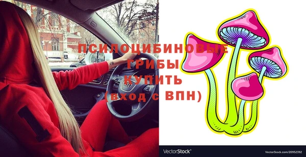 хмурый Балахна