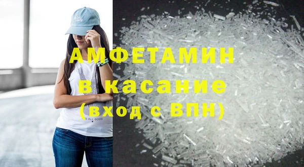 шишки Дмитриев